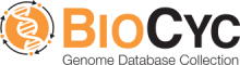 SRI International/BioCyc